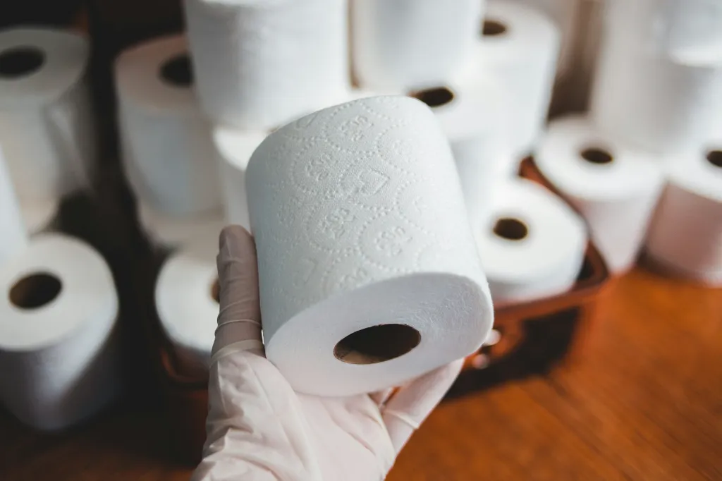unsplash_Sss9uGhSiPw_toilet roll.webp