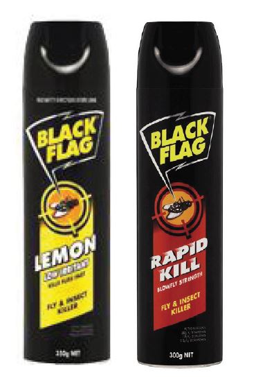 Black Flag Insect Spray Rapid Kill - Black, 300g